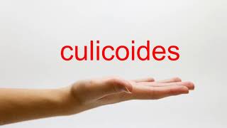 How to Pronounce culicoides  American English [upl. by Nolur48]