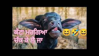 katta margea chak ke le ja funny punjabi audio [upl. by Suirred726]