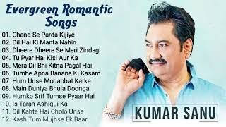 Best Of Udit Narayan Alka Yagnik Kumar Sanu  90s Evergreen Bollywood Songs Jukebox Anubhab [upl. by Liponis]