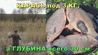 Я таких карасей еще не ловил Охота на карася под 3кг [upl. by Terra]