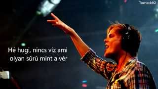 ◢ ◤﻿ Avicii ◢ ◤﻿  Hey Brother magyarul HD [upl. by Griffith]