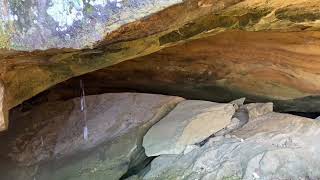 Hiking Mitchell Creek in the Hoosier National Forest  hikingperrycountywithdean [upl. by Anev669]