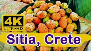 Sitia Crete  Greece travel guide 4K [upl. by Lhary52]