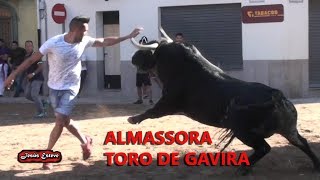 ALMASSORA TORO DE GAVIRA Y JUAN ALBARRAN 23052017 [upl. by Leahcimaj]