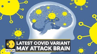 Study Omicron BA5 subvariant may cause more damage  Covid19  WION Pulse  Latest English News [upl. by Pederson245]