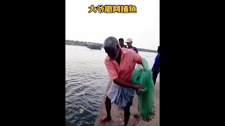 戶外捕魚：大爺用腳將螃蟹踩碎丟進河中，然後再撒網捕魚！ 捕魚 撒網 [upl. by Biel]