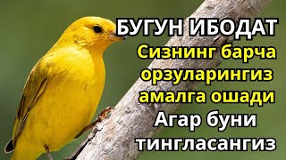 Ушбу ибодатни тингланг  Сизнинг барча орзуларингиз амалга ошади [upl. by Enna]