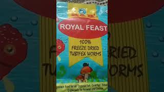 ROYAL FISH FOOD [upl. by Connor]