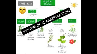 System of Classification  Plant Kingdom  Ncert at your fingertips  All PYQs covered neet2024 [upl. by Fauman745]