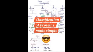 protein classification [upl. by Dell]