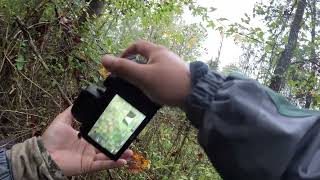 Hunting in Elk Horn Campbellsville KY 4K [upl. by Salangia]