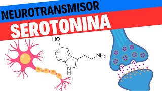 Fisiología de la Serotonina Neurociencias 13 [upl. by Burnard]