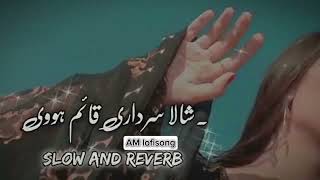 Shaka Sardari Kaim Hove  Slowed Reverb Saraiki Song  youtube [upl. by Schechinger]