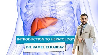 Introduction to hepatology [upl. by Wampler]