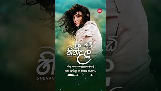 කෙතරම් කලාද ආදරේ තරහින් ඇයි තව මා කෙරේ  Duka Wadi Hindalu  Shehan Udesh Song shorts song [upl. by Vi630]