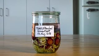 Ricetta base Verdure fermentate [upl. by Mathian]