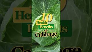 Health Benefits of Cabbages healthtips cabbage shorts [upl. by Lahcar]