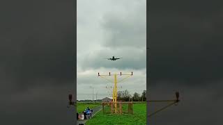 Transavia B737 low landing aviation pilot airplane avgeek planespotting schiphol [upl. by Dorfman211]