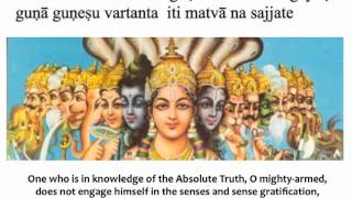 Bhagavad Gita Chapter 3  Verse 28 [upl. by Etnomaj]