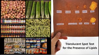 EXERCISE 5 Activity 1 Translucent Spot Test for the Presence of Lipids [upl. by Godbeare]