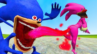 Shin Sonic Tapes EXPERT Shares Top Family Battle Techniques in Garrys Mod [upl. by Renzo]