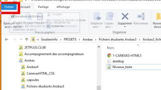 Afficher les extensions de fichiers sous Windows 10 [upl. by Chantalle]