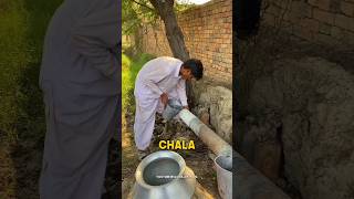 Aj Hamne Sabzia Lagai 🧄🌿 dailyminivlog minivlog villagerlifestyle dailyroutine sabzia [upl. by Micco]