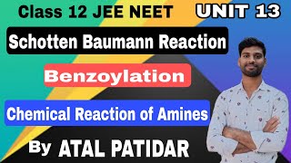 ।।Benzoylation।।Schotten Baumann Reaction।।Chemical Reactions of Amines।।Amines।।Class 12 JEE NEET।। [upl. by Petula]