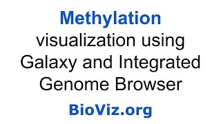 Visualization of whole genome DNA methylation [upl. by Zeret244]