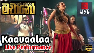 Dulah with D Crush 😍🔥 Kaavaalaa Song  Machano Live Band  Live Music Lab [upl. by Ynaoj]