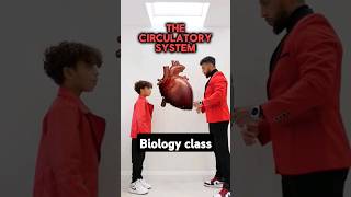 GCSE Biology  Circulatory System [upl. by Portugal]