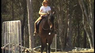 Horse Riding Naturally [upl. by Gerhard65]