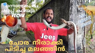 Malanjeen fish huntingചോര നീരാക്കി പിടിച്ച eel fish [upl. by Akemor]