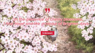 A mysterious cherry blossom in Aarhus Denmark Mushishi film Hope [upl. by Ardnosal]