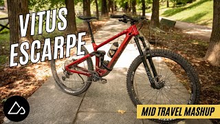 Vitus Escarpe 29 CRS Review A ValuePriced Carbon Trail Bike That Dances MidTravel Mashup [upl. by Yurik632]