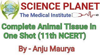 One shot lecture Of Animal Tissue ll NEET ll By Anju Maurya ll [upl. by Aikemal743]