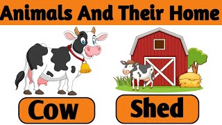 Animals And Their Homes🏡 Home Of Animals  Animal Shelter For Kids  Easy Way To Learn Animals Home [upl. by Cornall]