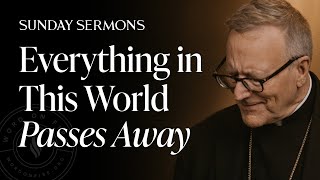 Everything in This World Passes Away  Bishop Barrons Sunday Sermon [upl. by Lillis]