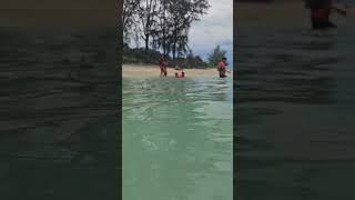 cari Ikan Nemo Di Pulau Perhentian [upl. by Ecadnarb754]