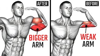 8 Best Biceps and Triceps Exercises for Bigger Arms AT GYM [upl. by Ecaroh]