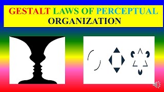 GESTALT LAWS OF PERCEPTUAL ORGANIZATION  Applied psychology for Nursing [upl. by Tamah]