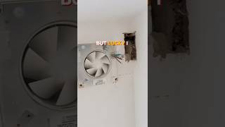 Install An Extractor Fan In Bathroom shorts bathroom fans [upl. by Dougherty]