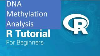 Genome wide Methylation Analysis using R  Champ Tutorial [upl. by Eatnad]