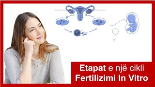 Etapat e një cikli Fertilizimi In Vitro [upl. by Neyu]