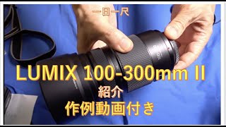 LUMIX100300mmレンズと作例動画紹介 [upl. by Mogerly]