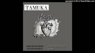 Tamuka  HanaOfficial Audio [upl. by Uis]