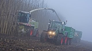 Holzhäckseln mit Claas Jaguar [upl. by Eehc]