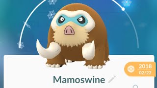 Evolving Piloswine to Mamoswine using Sinnoh Stone in Pokemon Go [upl. by Eilrac]