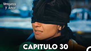 Venganza y Amor Capitulo 30  Doblado En Español [upl. by Naoh]