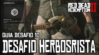 RED DEAD REDEMPTION 2  DESAFIOS HERBORISTA 10 COZINHAR TODAS AS CARNES [upl. by Hnad]